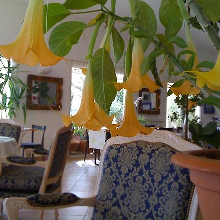 Hotel La Fontaine à Vidauban Extérieur photo