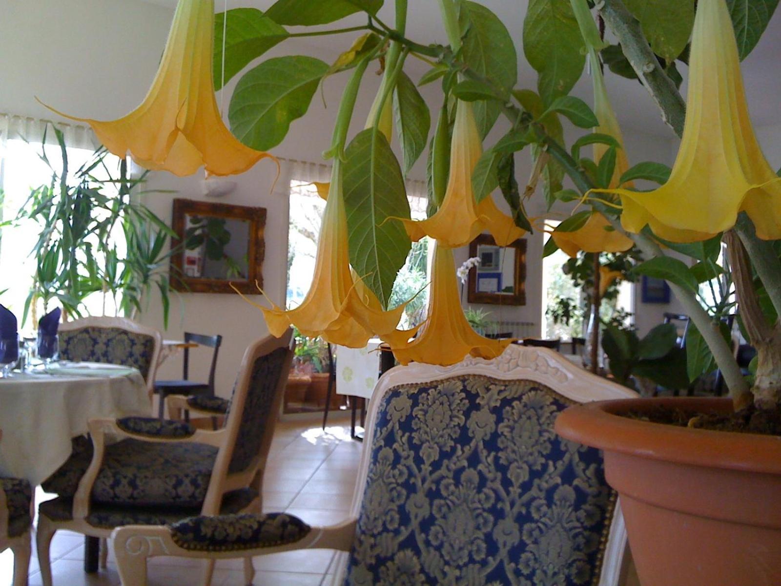 Hotel La Fontaine à Vidauban Extérieur photo